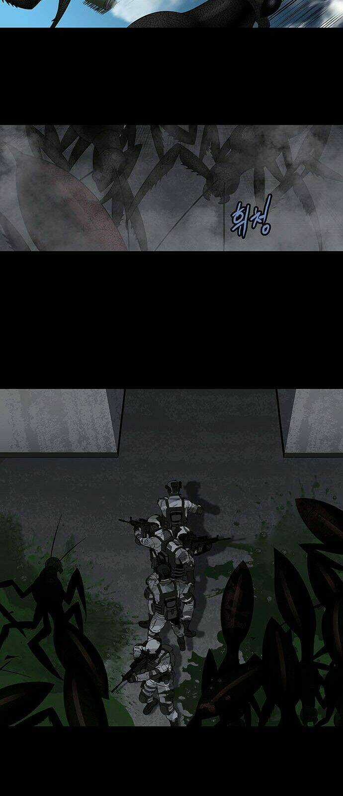 THẢM HỌA ONG ĐỘC - Chapter 156 - Trang 31