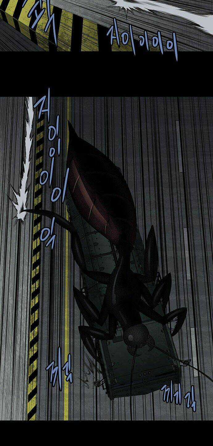 THẢM HỌA ONG ĐỘC - Chapter 157 - Trang 15