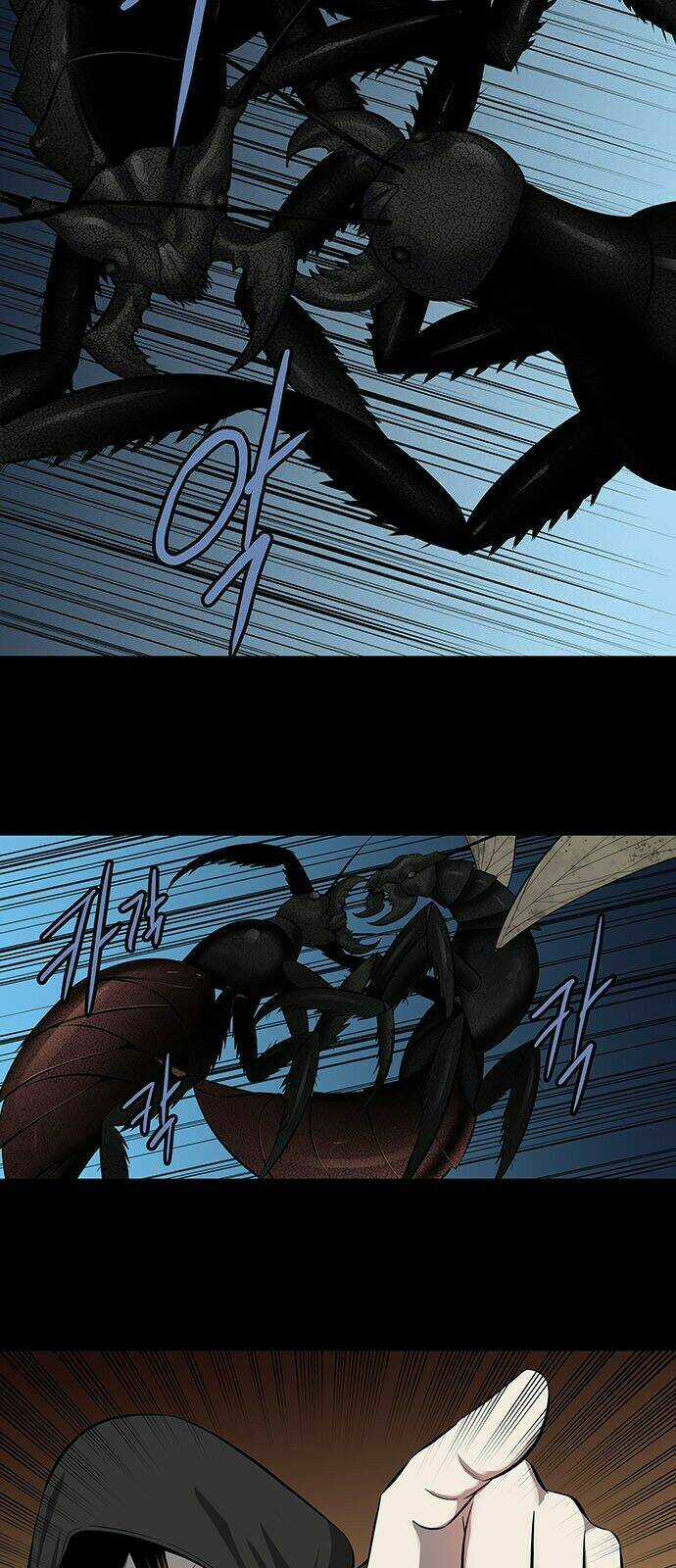 THẢM HỌA ONG ĐỘC - Chapter 157 - Trang 41