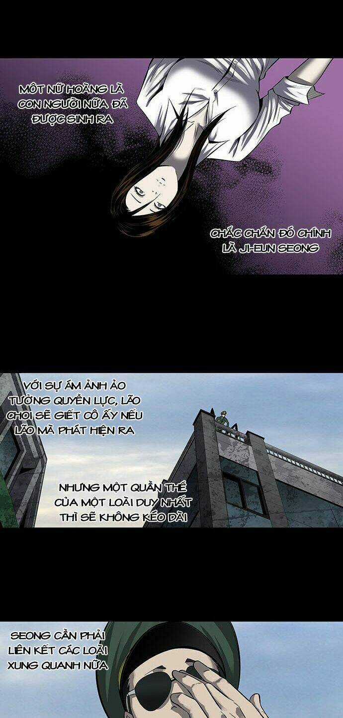 THẢM HỌA ONG ĐỘC - Chapter 160 - Trang 40
