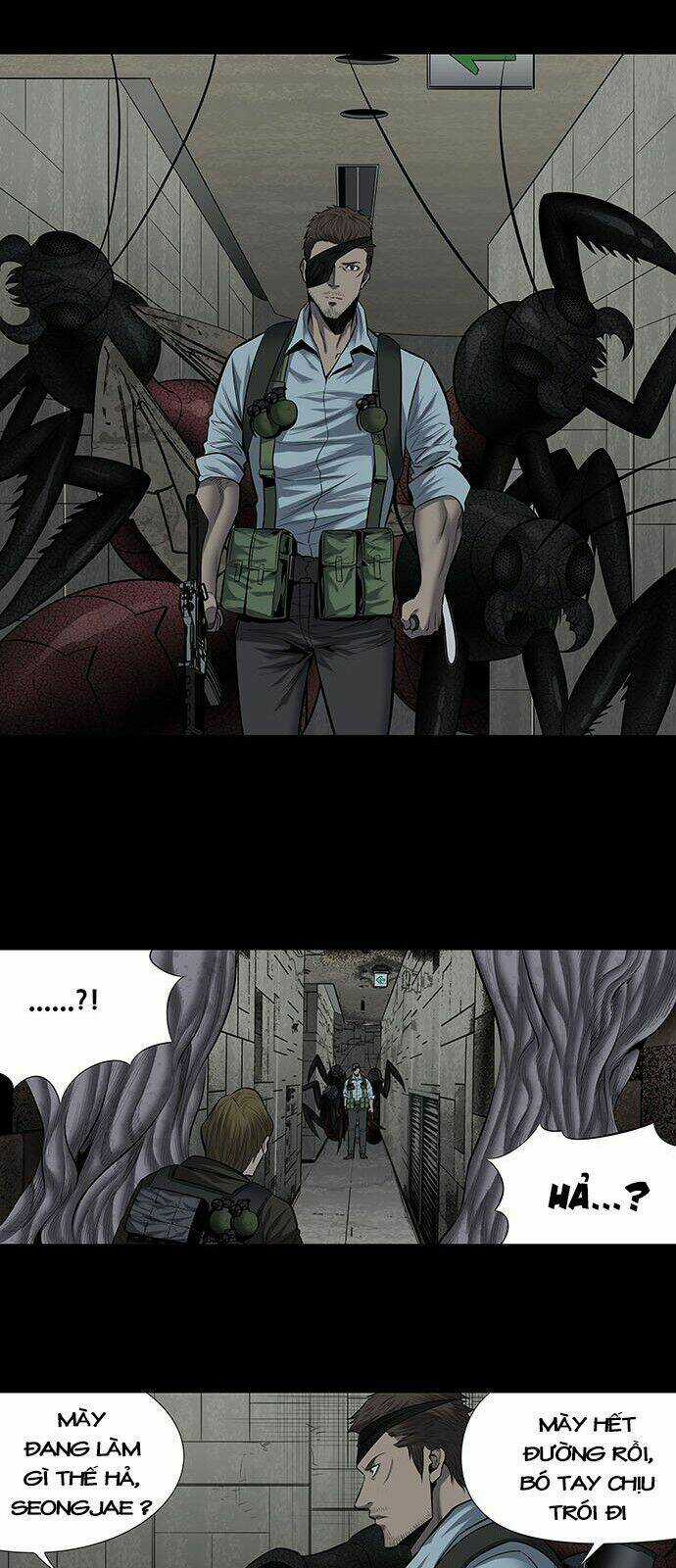 THẢM HỌA ONG ĐỘC - Chapter 167 - Trang 32
