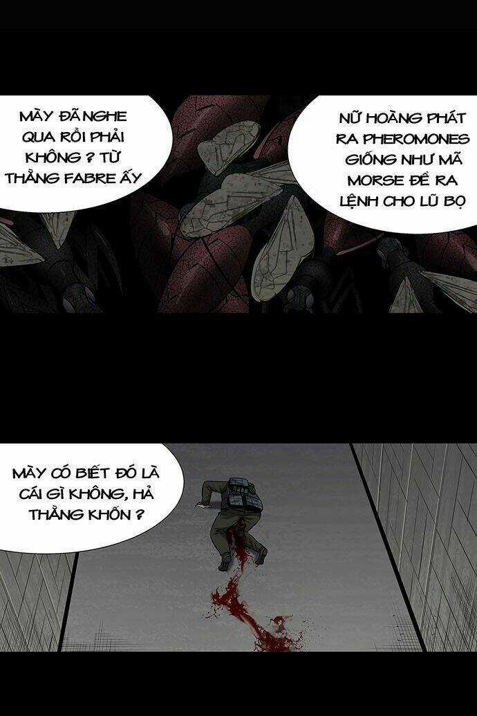 THẢM HỌA ONG ĐỘC - Chapter 167 - Trang 41