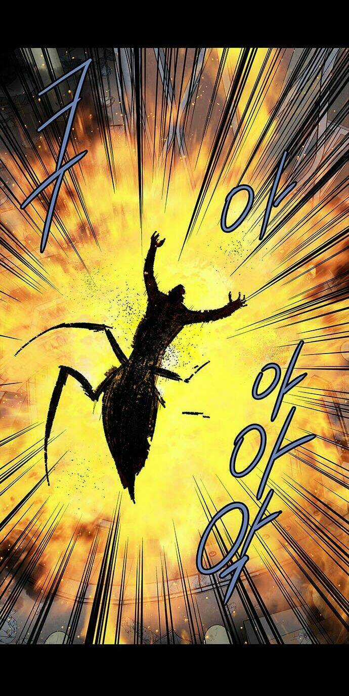 THẢM HỌA ONG ĐỘC - Chapter 176 - Trang 44