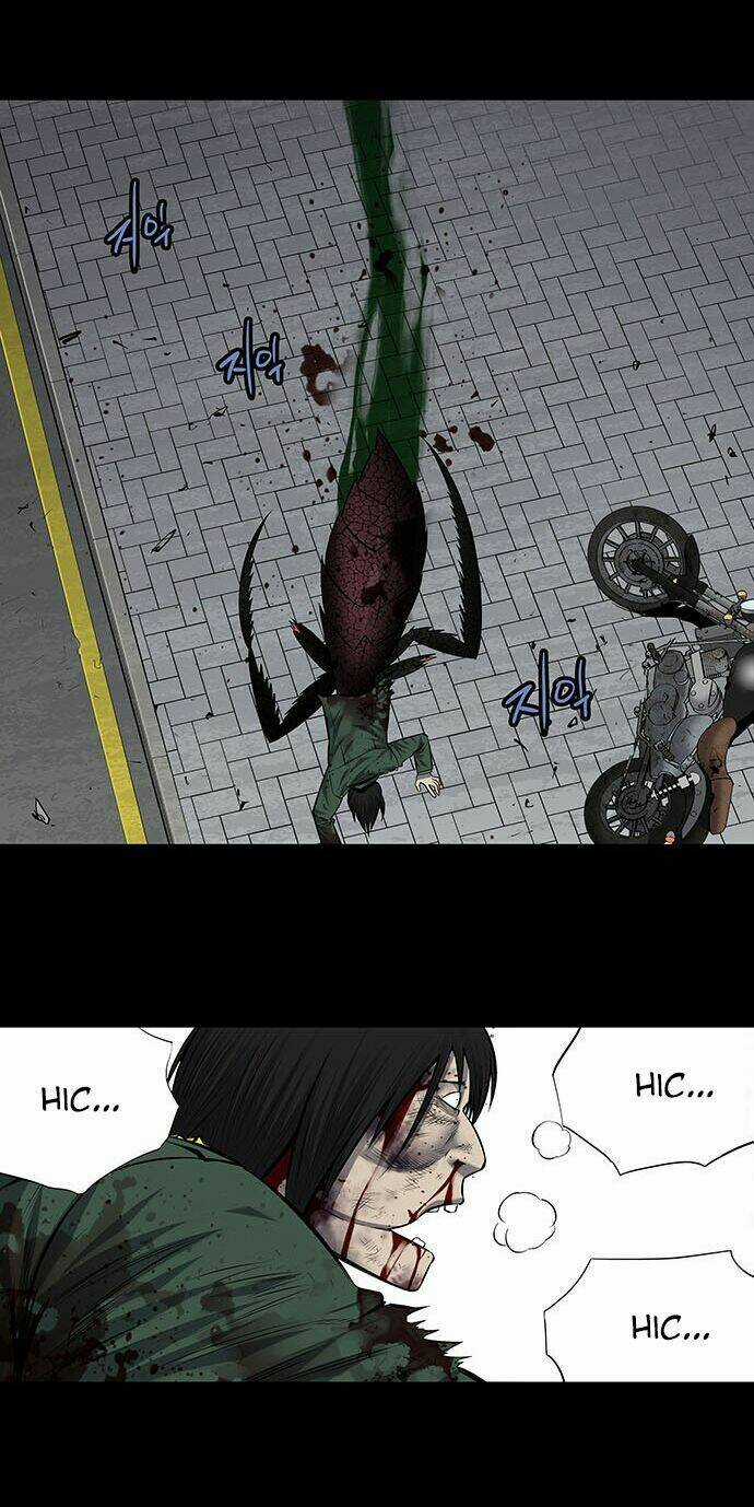 THẢM HỌA ONG ĐỘC - Chapter 178 - Trang 10