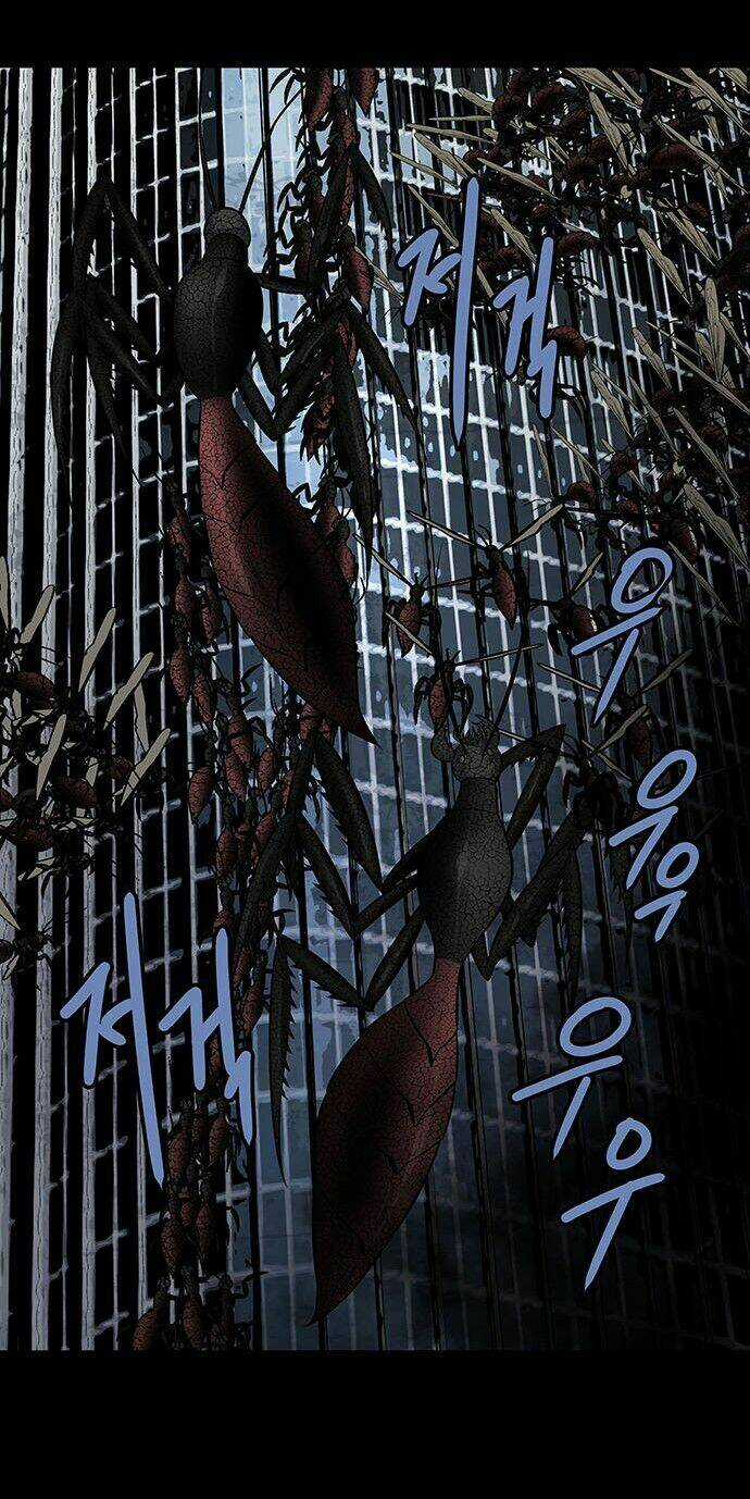 THẢM HỌA ONG ĐỘC - Chapter 179 - Trang 33