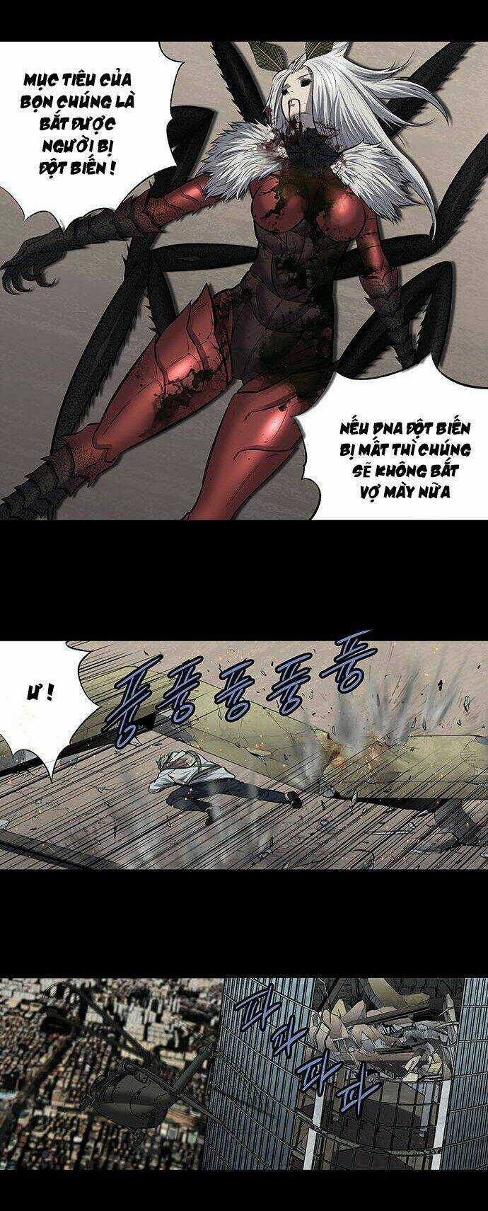 THẢM HỌA ONG ĐỘC - Chapter 183 - Trang 36