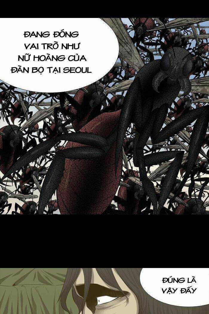 THẢM HỌA ONG ĐỘC - Chapter 192 - Trang 33