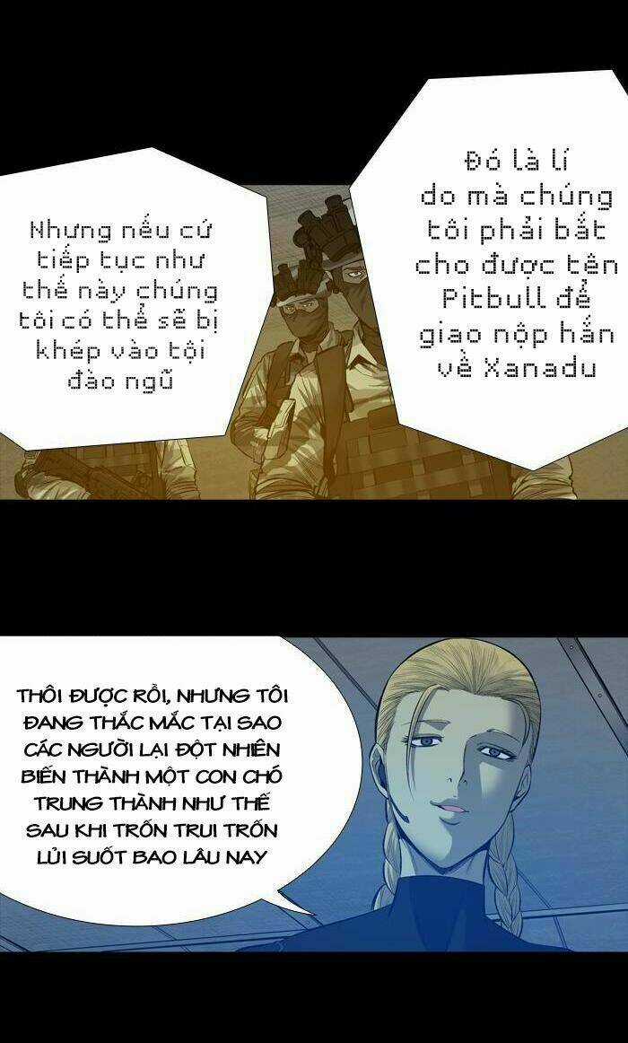 THẢM HỌA ONG ĐỘC - Chapter 195 - Trang 13