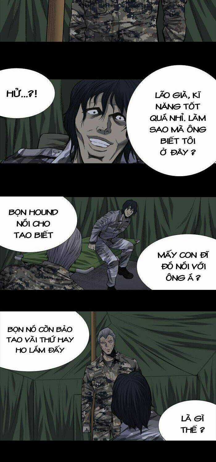 THẢM HỌA ONG ĐỘC - Chapter 197 - Trang 20