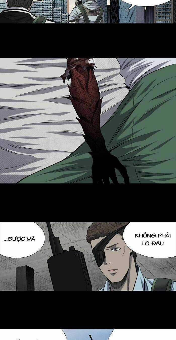 THẢM HỌA ONG ĐỘC - Chapter 197 - Trang 8