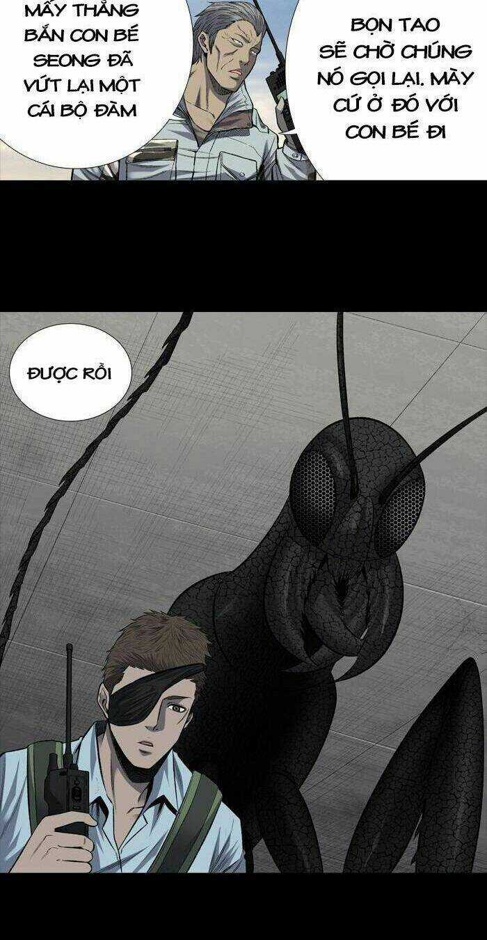 THẢM HỌA ONG ĐỘC - Chapter 197 - Trang 9