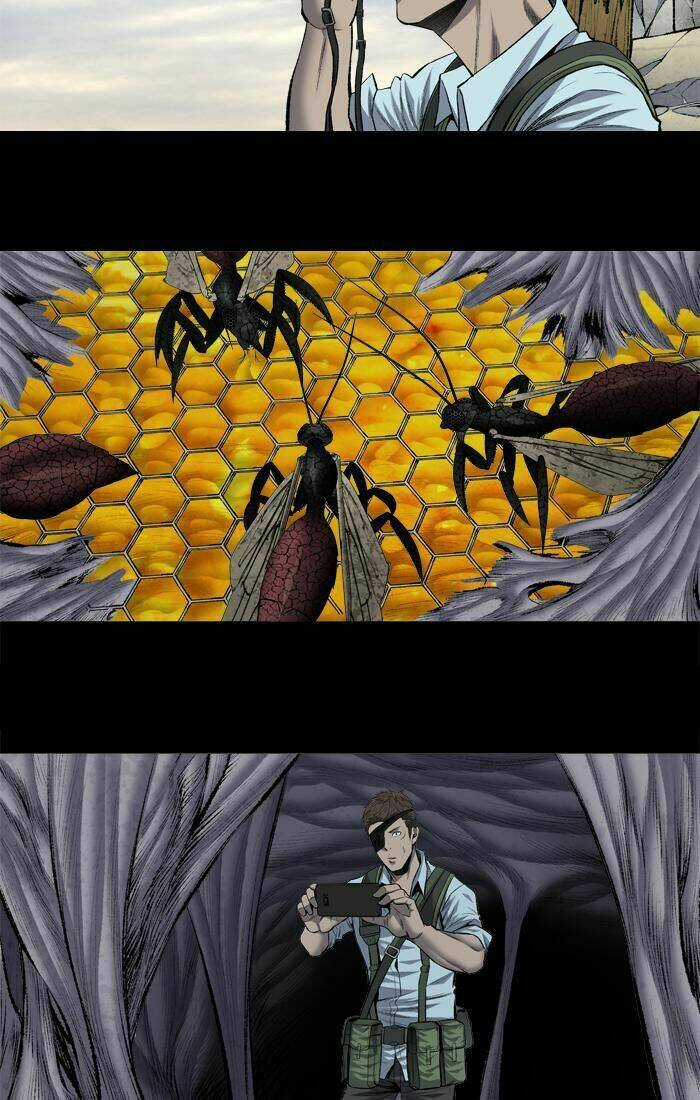 THẢM HỌA ONG ĐỘC - Chapter 198 - Trang 4