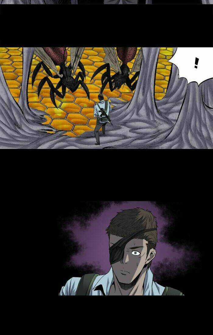 THẢM HỌA ONG ĐỘC - Chapter 198 - Trang 5