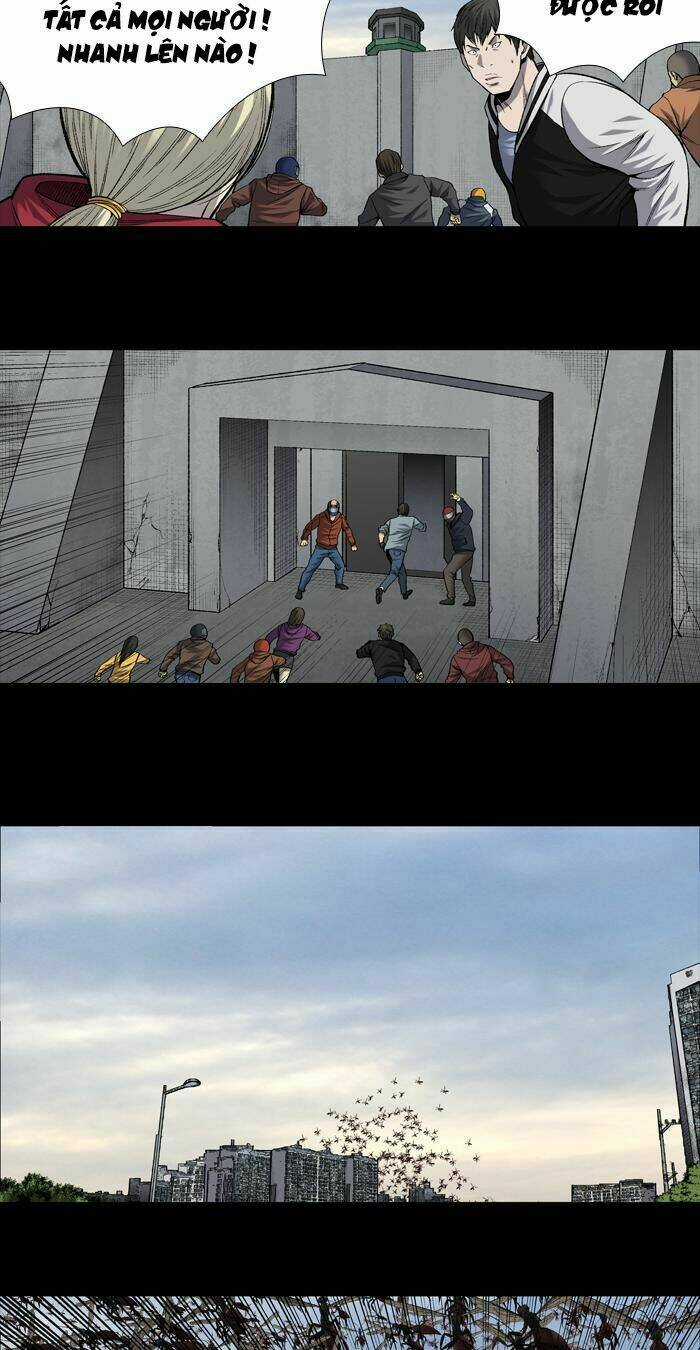 THẢM HỌA ONG ĐỘC - Chapter 199 - Trang 5