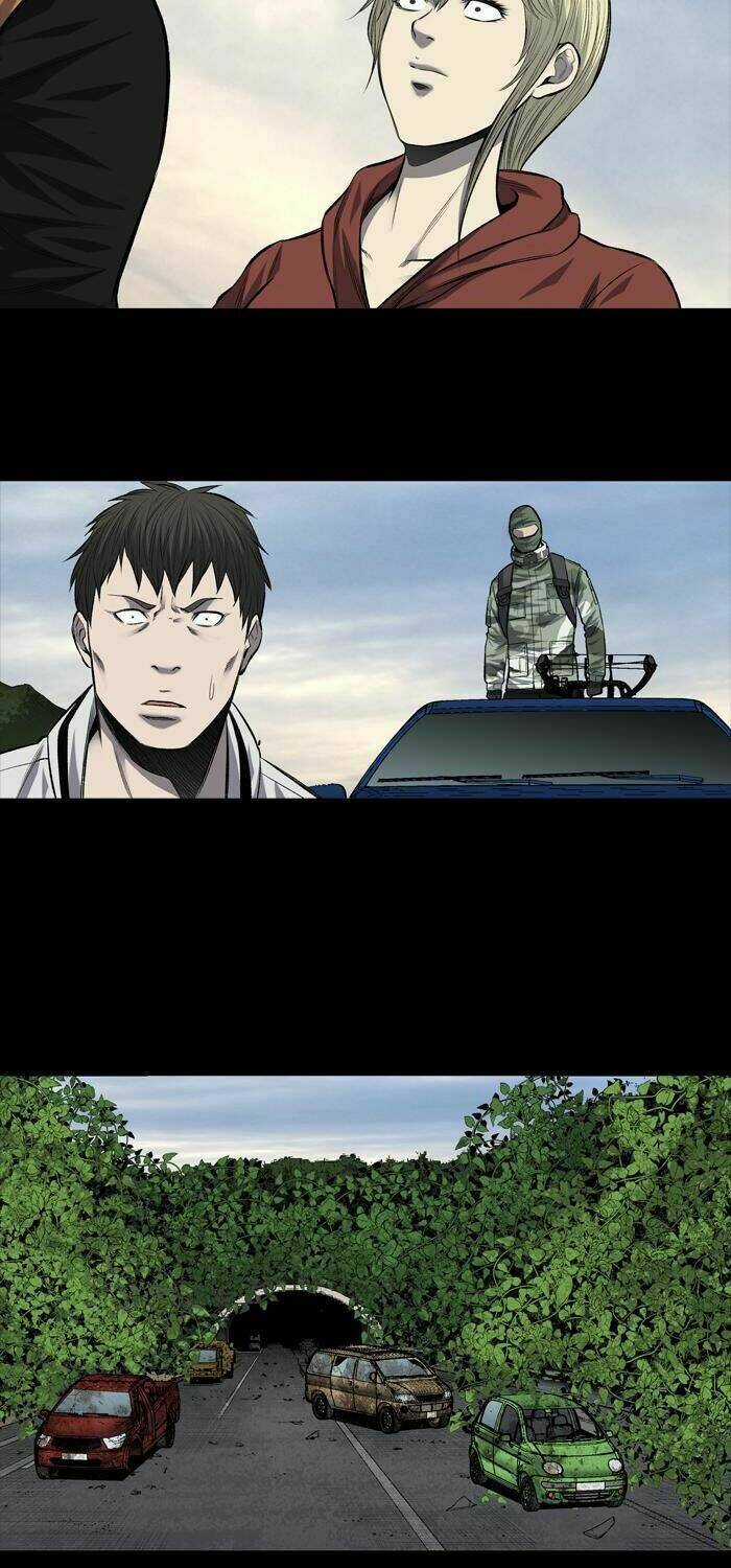 THẢM HỌA ONG ĐỘC - Chapter 203 - Trang 20