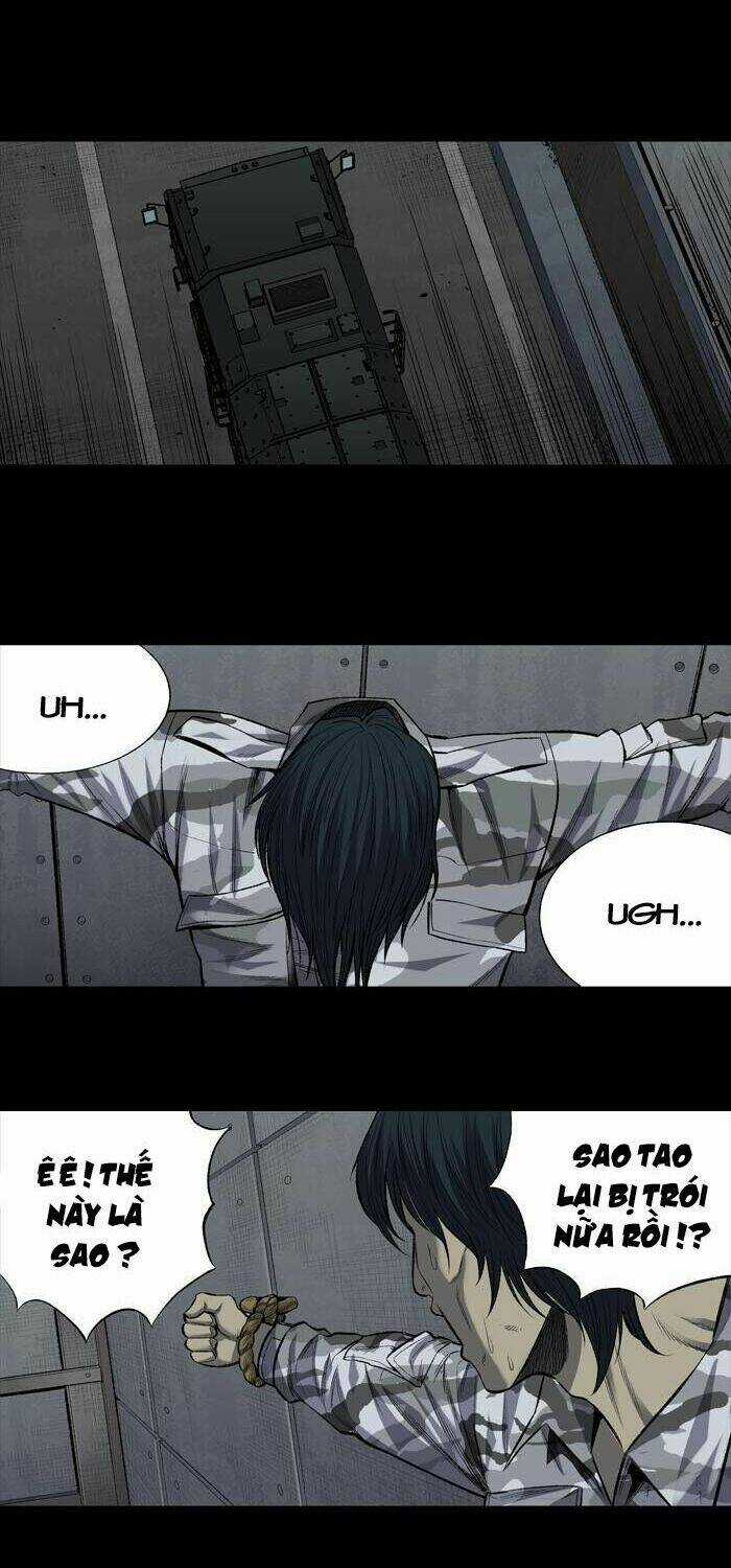 THẢM HỌA ONG ĐỘC - Chapter 203 - Trang 21