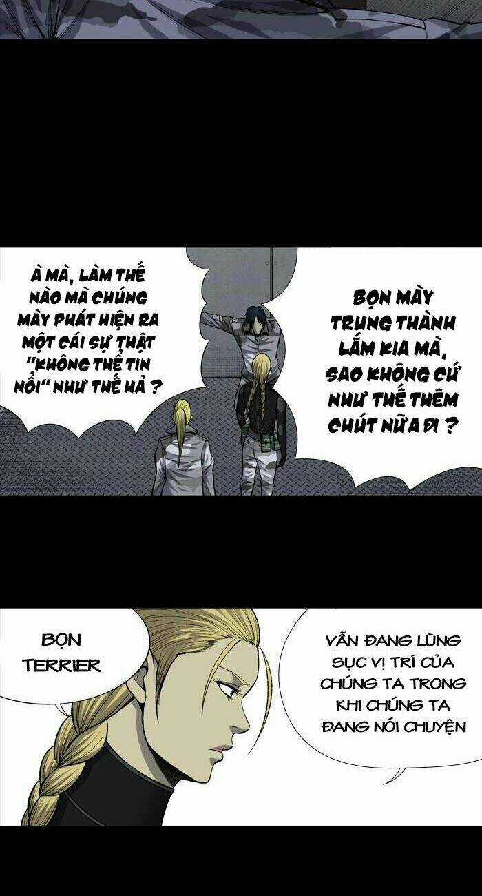 THẢM HỌA ONG ĐỘC - Chapter 203 - Trang 25