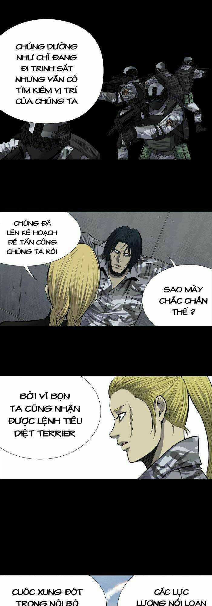 THẢM HỌA ONG ĐỘC - Chapter 203 - Trang 26