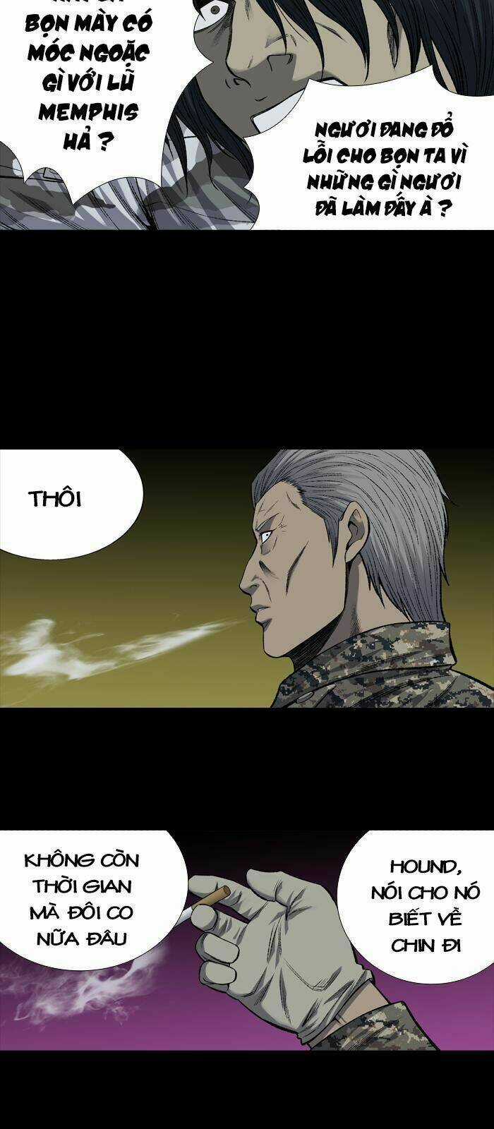 THẢM HỌA ONG ĐỘC - Chapter 203 - Trang 29