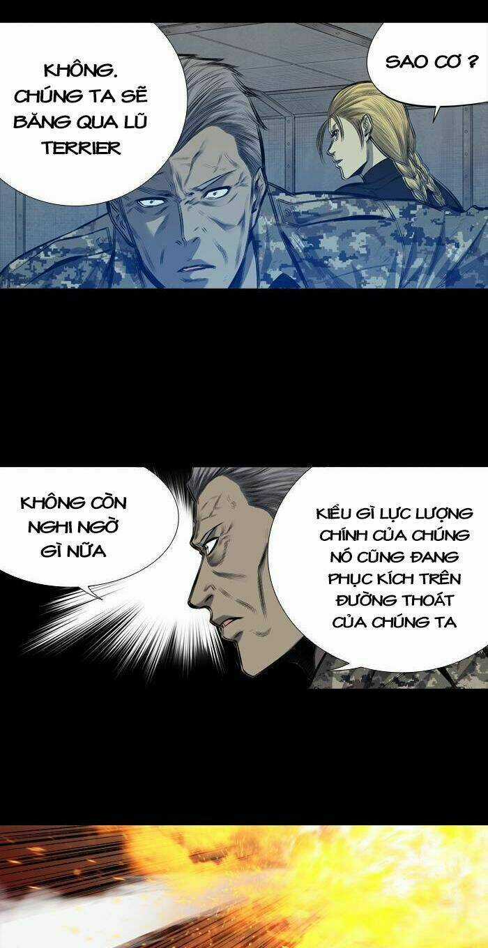 THẢM HỌA ONG ĐỘC - Chapter 203 - Trang 36