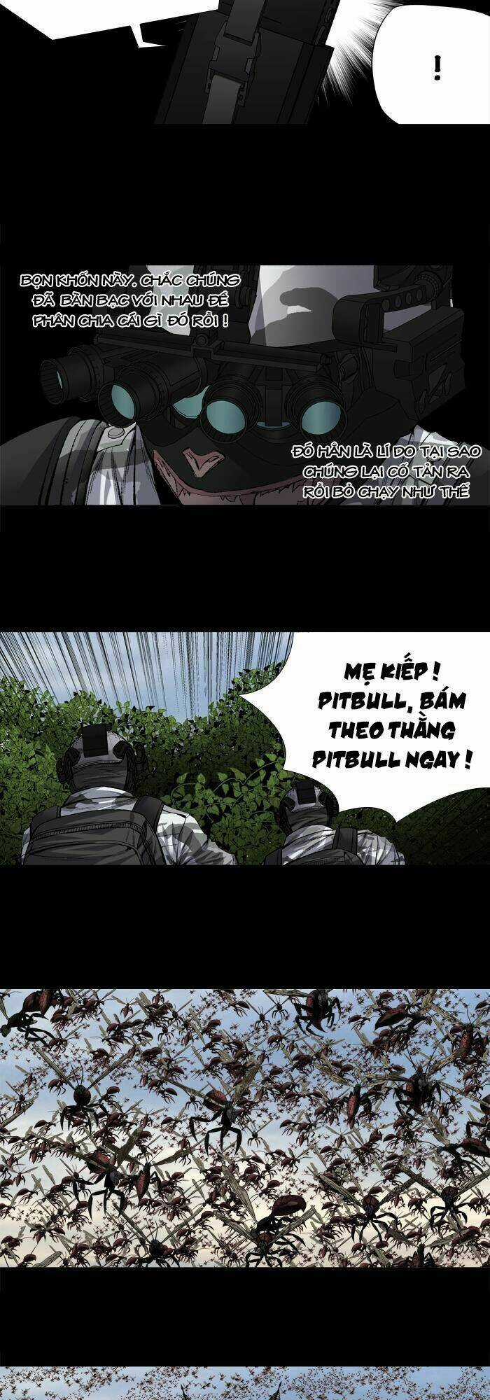 THẢM HỌA ONG ĐỘC - Chapter 204 - Trang 15