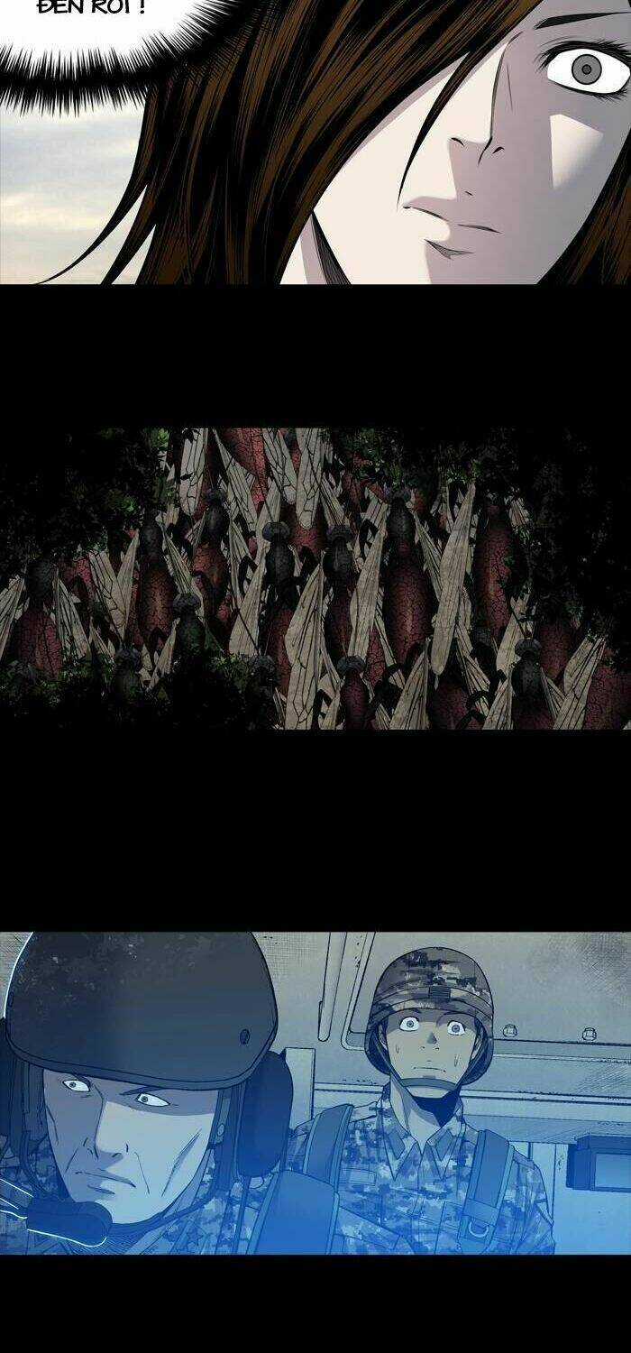 THẢM HỌA ONG ĐỘC - Chapter 204 - Trang 21