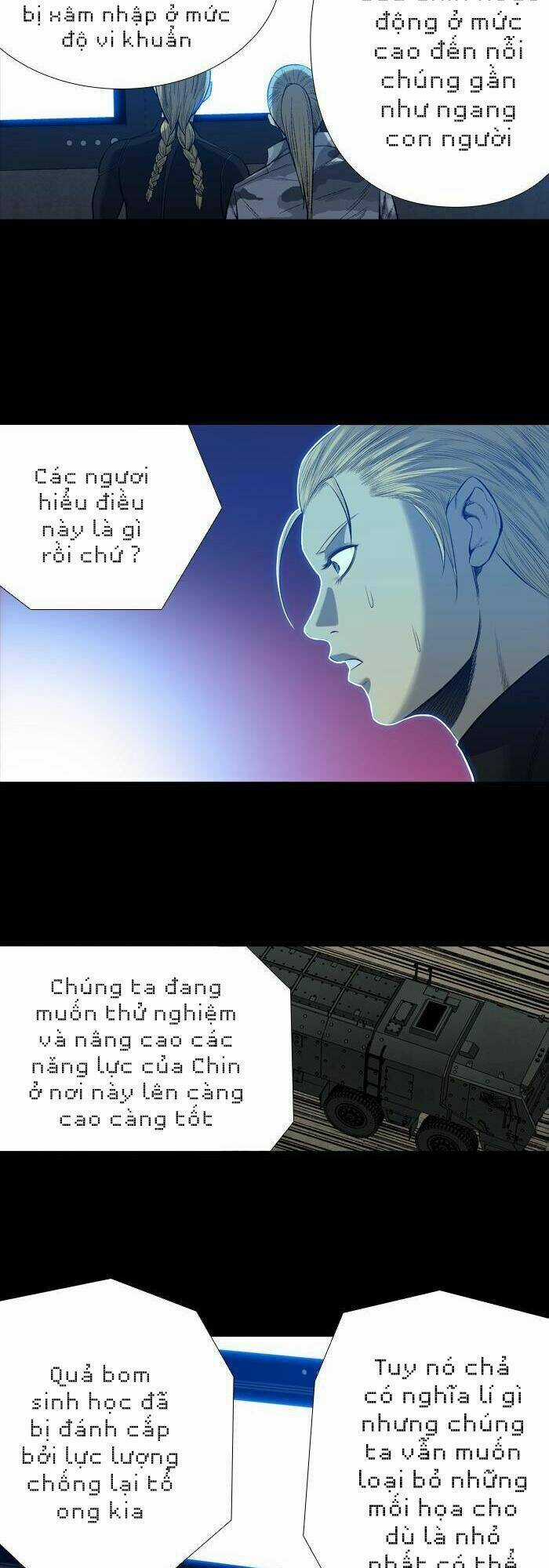 THẢM HỌA ONG ĐỘC - Chapter 205 - Trang 12