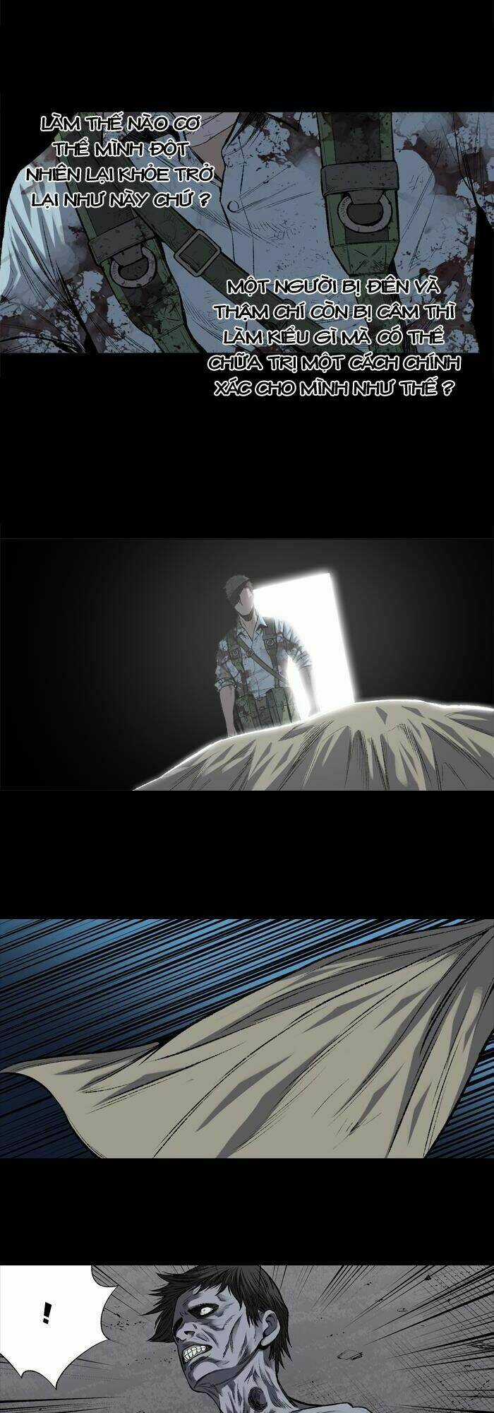 THẢM HỌA ONG ĐỘC - Chapter 207 - Trang 11