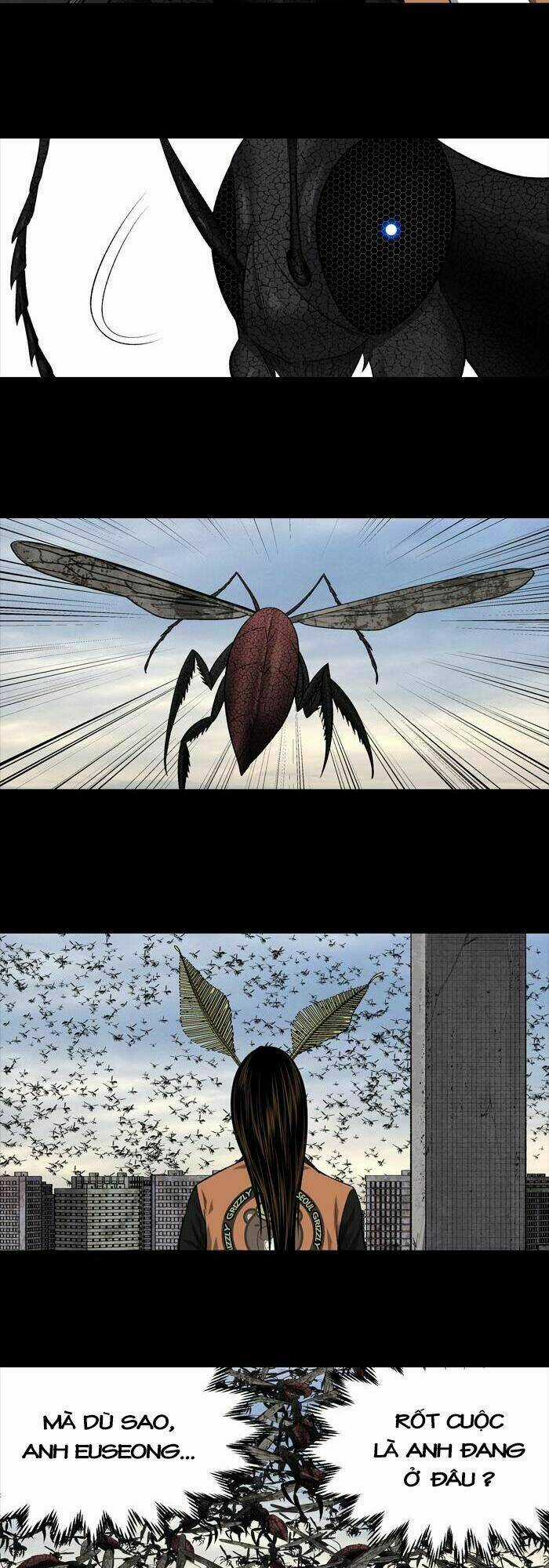 THẢM HỌA ONG ĐỘC - Chapter 207 - Trang 24