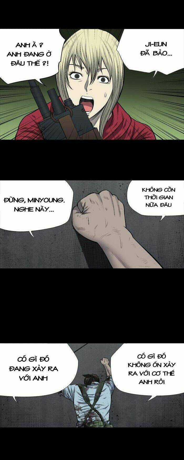 THẢM HỌA ONG ĐỘC - Chapter 207 - Trang 26