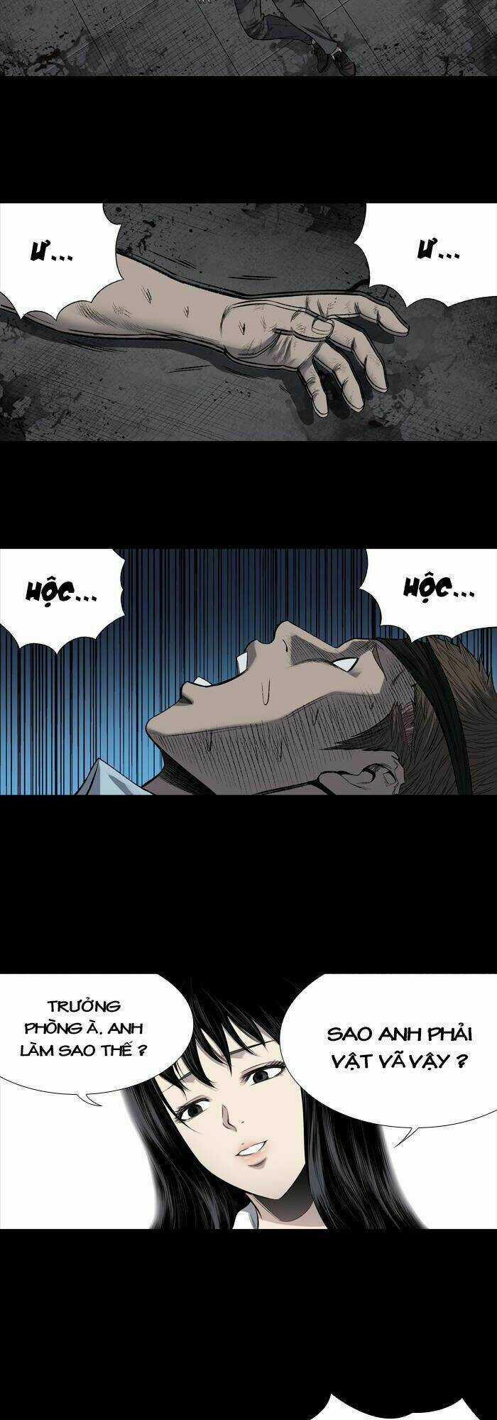 THẢM HỌA ONG ĐỘC - Chapter 208 - Trang 31