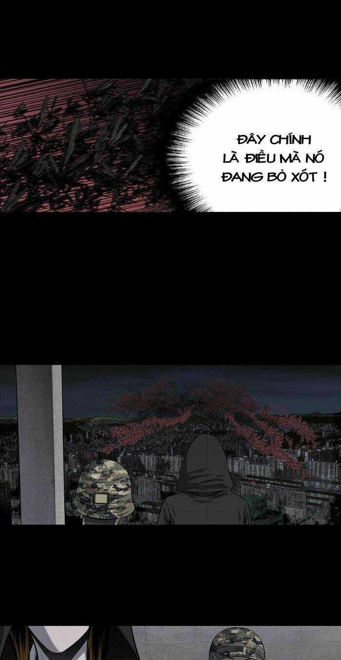 THẢM HỌA ONG ĐỘC - Chapter 211 - Trang 11