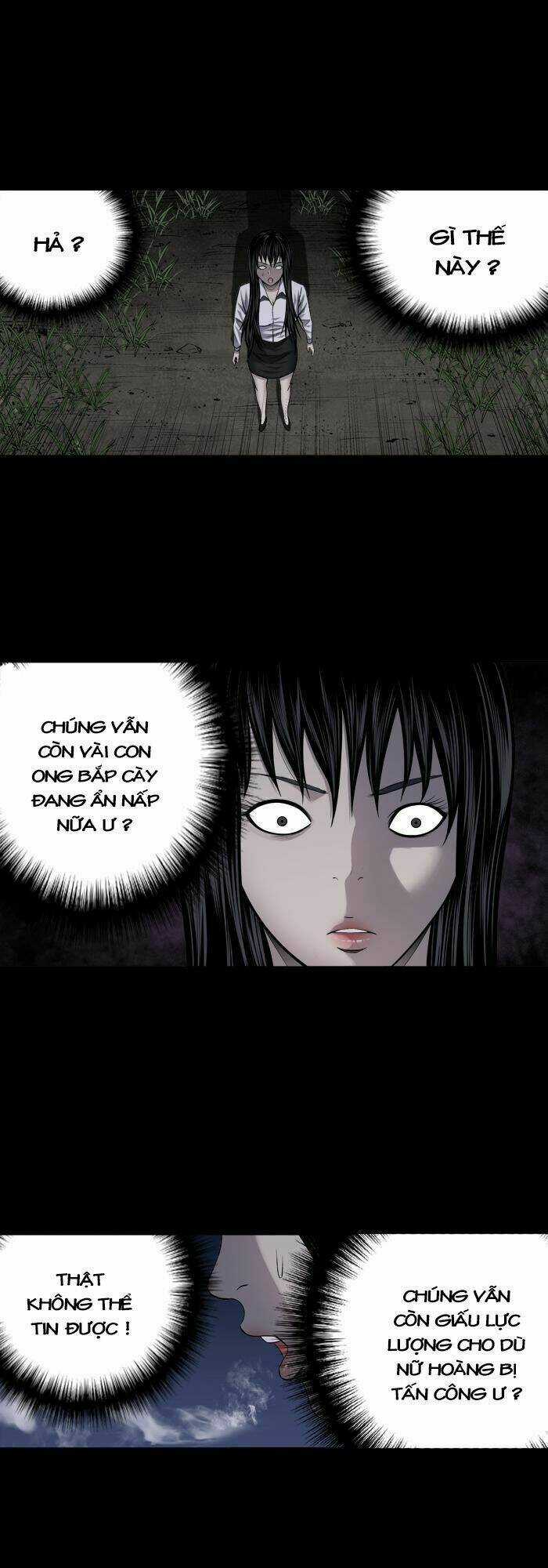 THẢM HỌA ONG ĐỘC - Chapter 211 - Trang 28