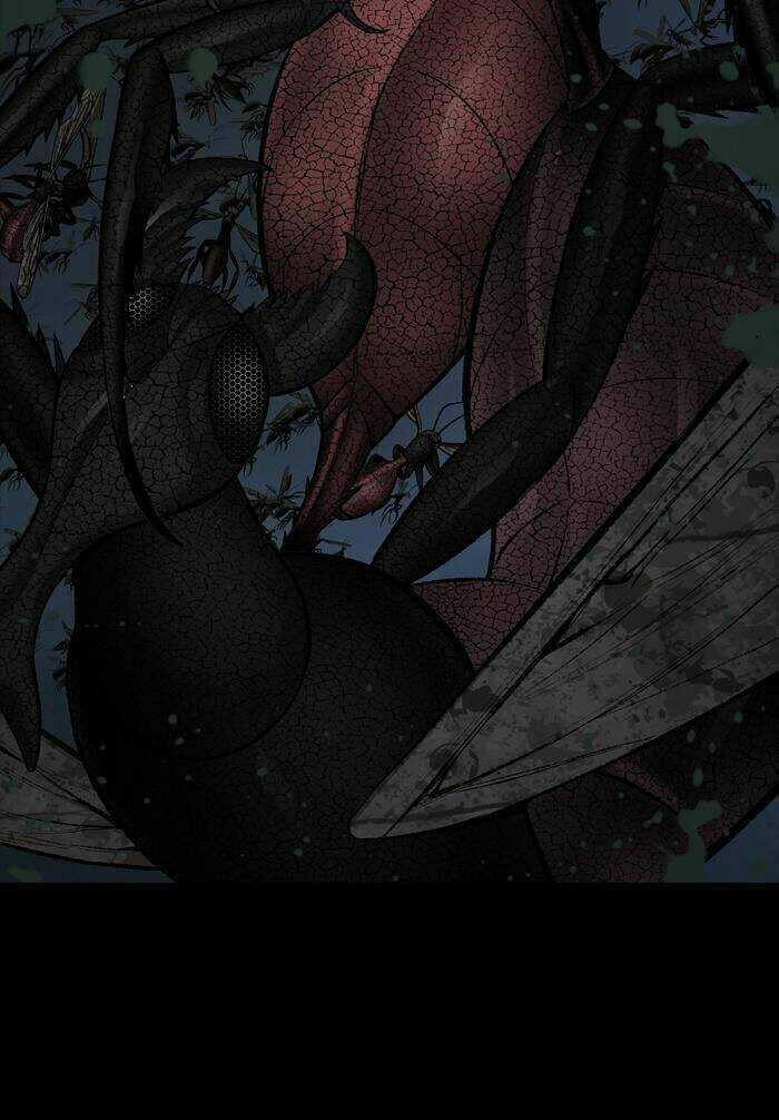 THẢM HỌA ONG ĐỘC - Chapter 211 - Trang 31