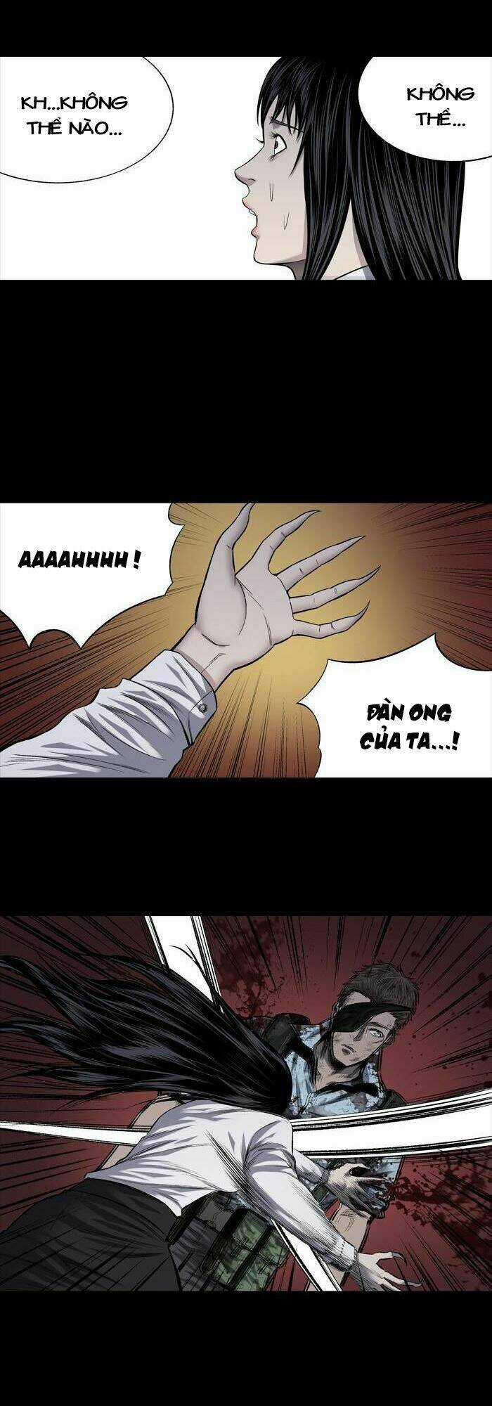 THẢM HỌA ONG ĐỘC - Chapter 211 - Trang 37