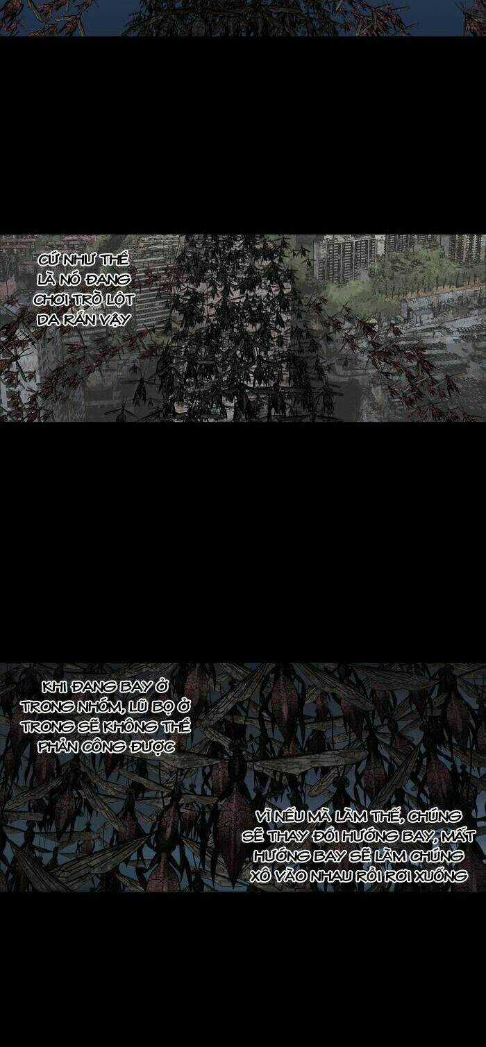 THẢM HỌA ONG ĐỘC - Chapter 211 - Trang 8