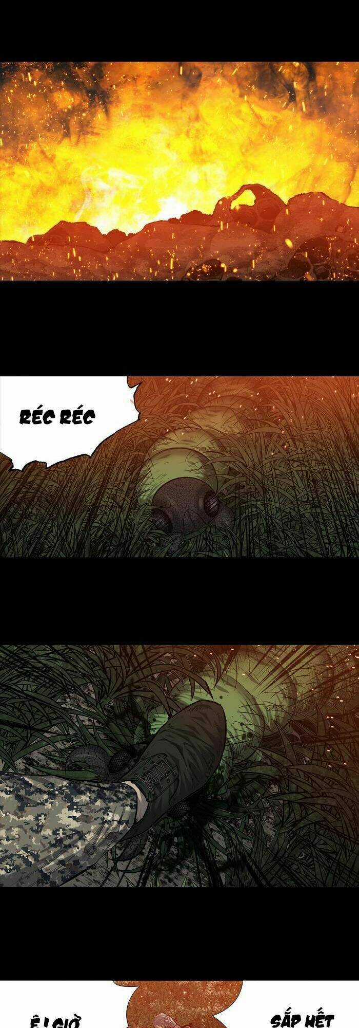 THẢM HỌA ONG ĐỘC - Chapter 214 - Trang 19