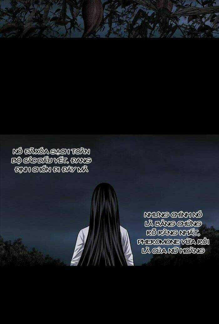 THẢM HỌA ONG ĐỘC - Chapter 215 - Trang 16