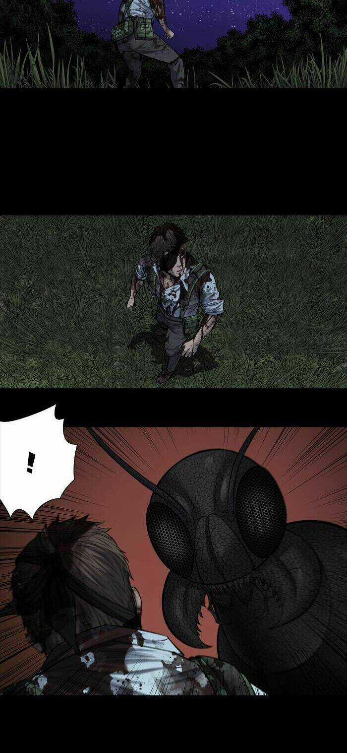 THẢM HỌA ONG ĐỘC - Chapter 215 - Trang 6