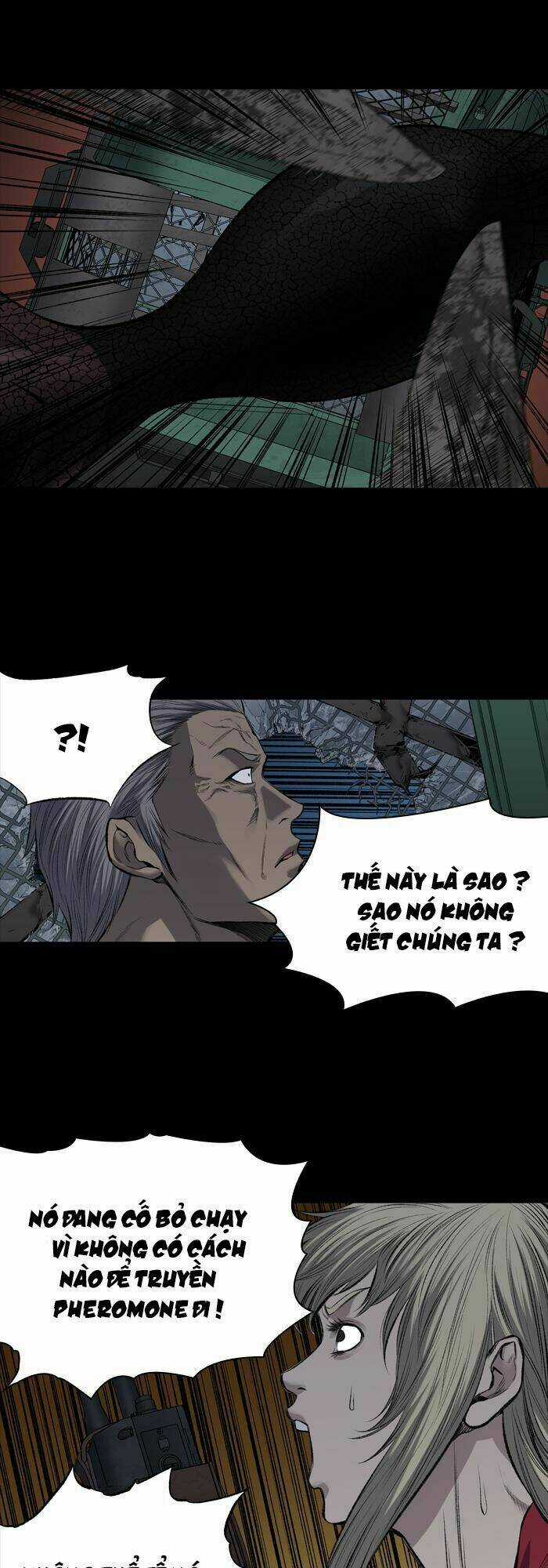 THẢM HỌA ONG ĐỘC - Chapter 216 - Trang 30