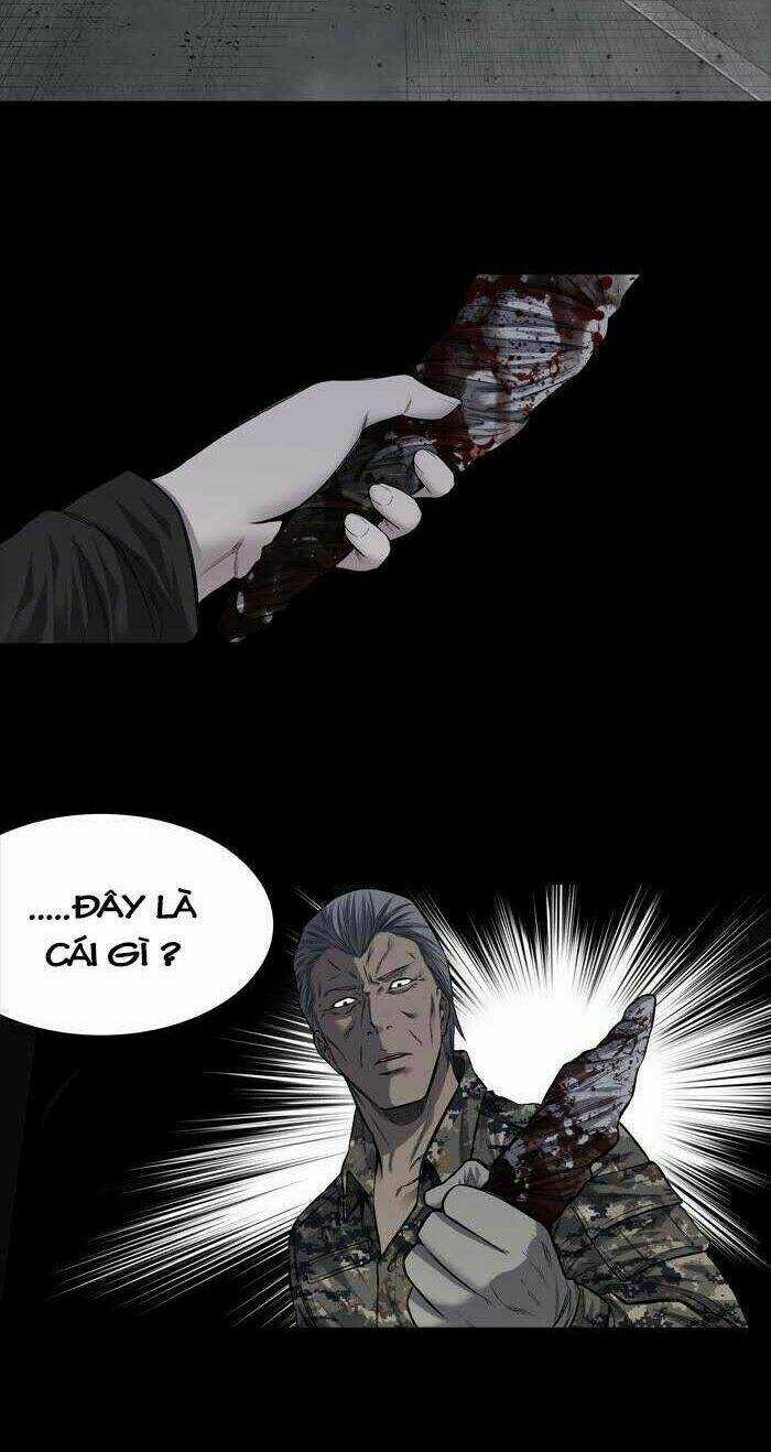 THẢM HỌA ONG ĐỘC - Chapter 217 - Trang 23