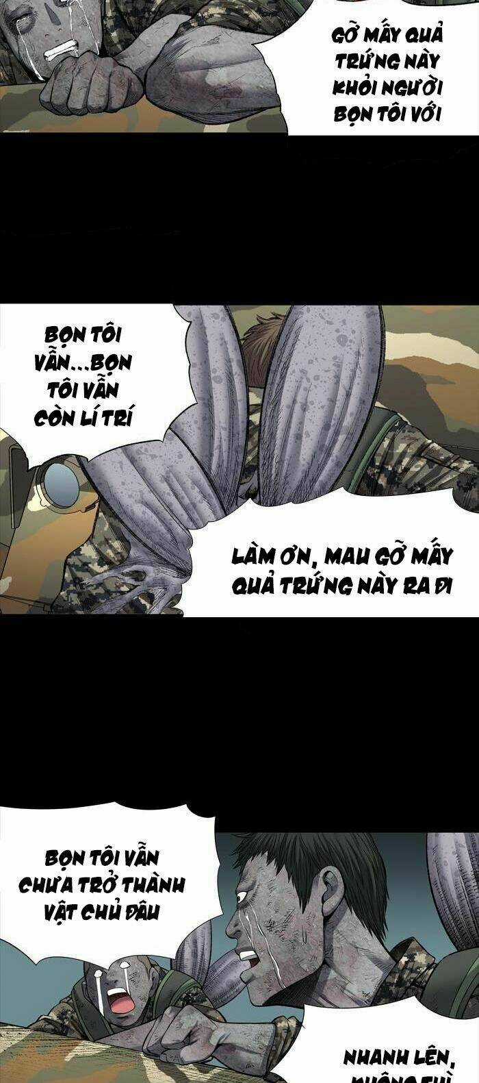 THẢM HỌA ONG ĐỘC - Chapter 220 - Trang 16