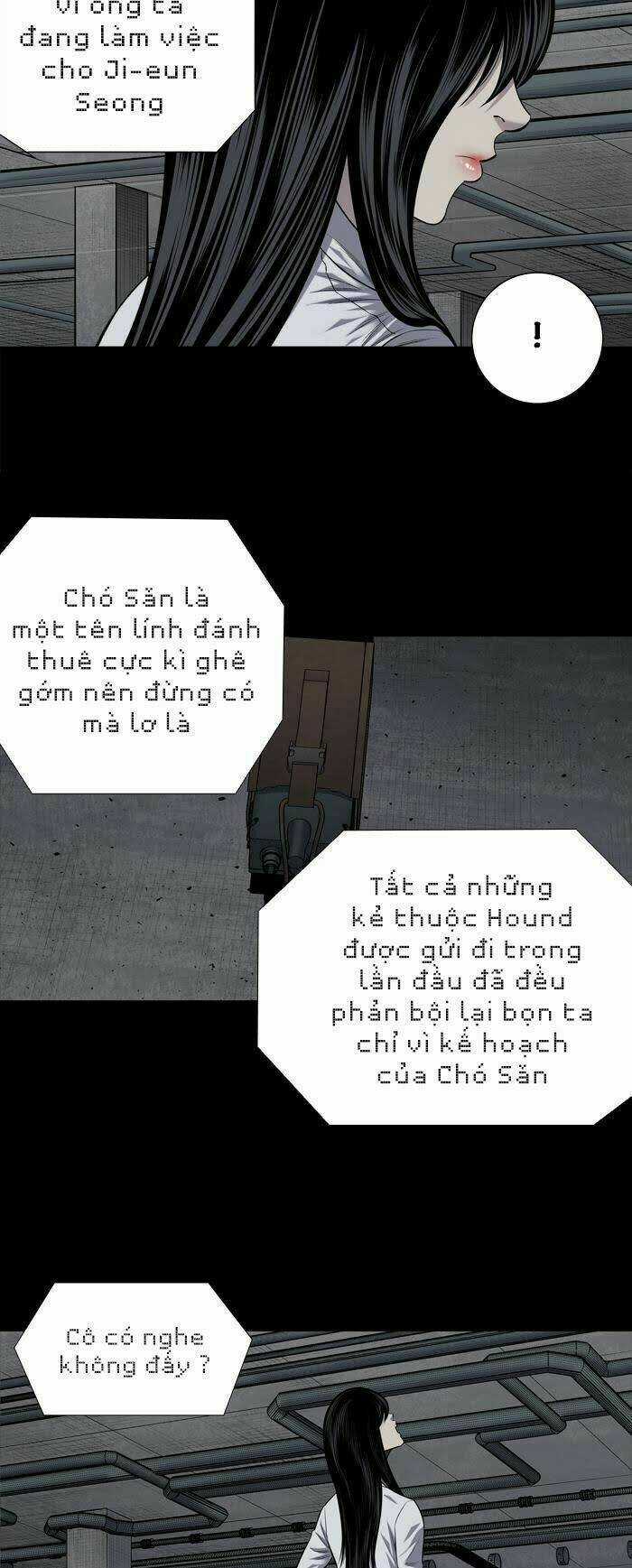 THẢM HỌA ONG ĐỘC - Chapter 222 - Trang 3