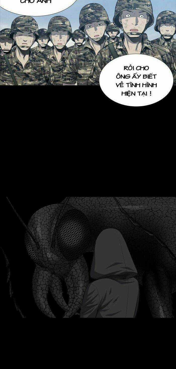 THẢM HỌA ONG ĐỘC - Chapter 224 - Trang 19