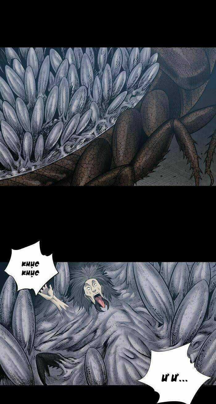 THẢM HỌA ONG ĐỘC - Chapter 225 - Trang 12