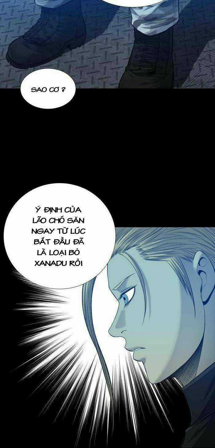 THẢM HỌA ONG ĐỘC - Chapter 225 - Trang 31