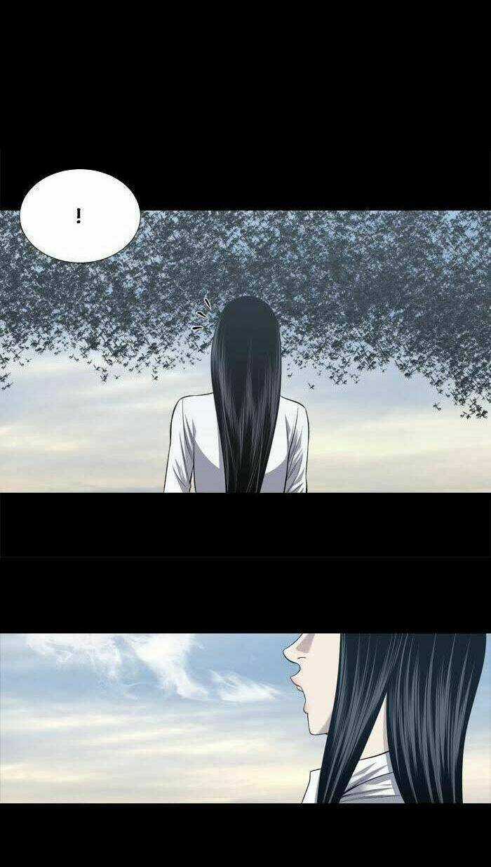 THẢM HỌA ONG ĐỘC - Chapter 226 - Trang 13