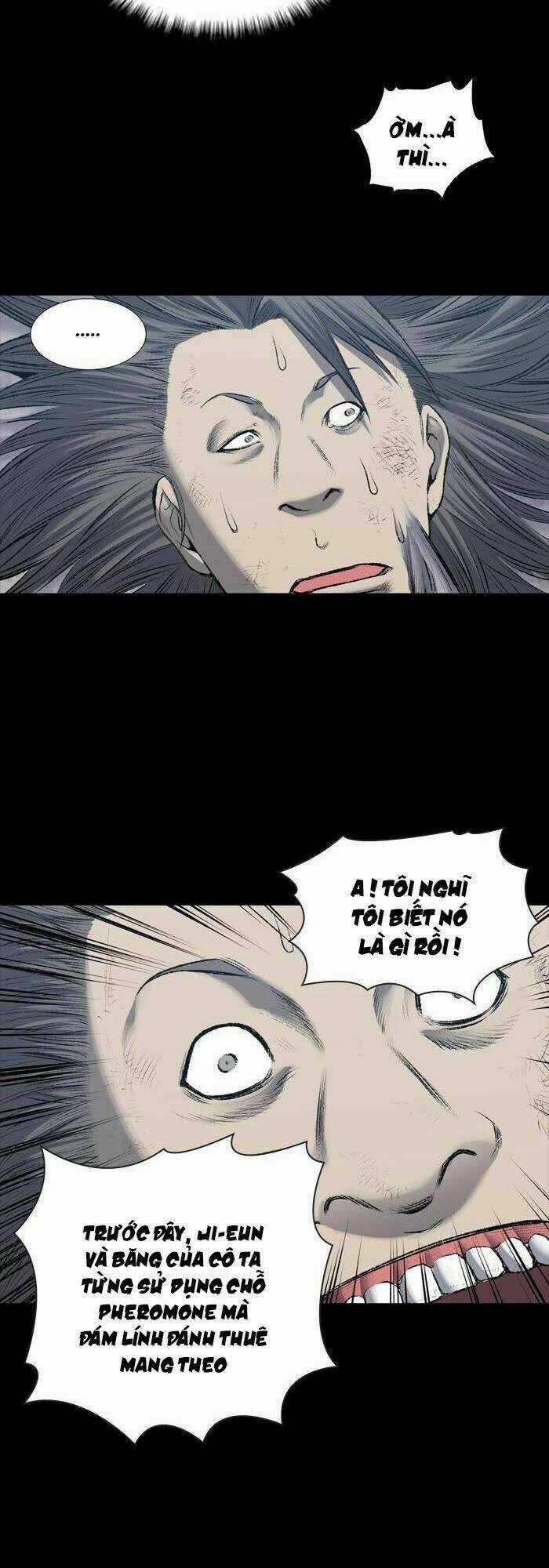 THẢM HỌA ONG ĐỘC - Chapter 226 - Trang 15