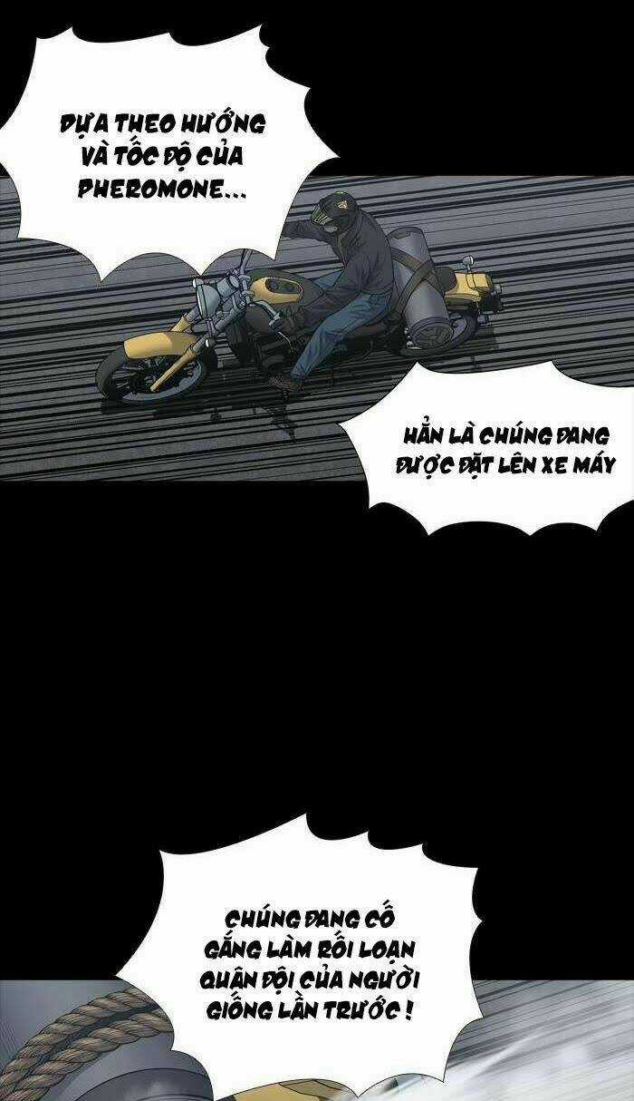 THẢM HỌA ONG ĐỘC - Chapter 226 - Trang 16