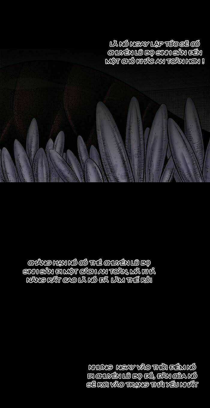 THẢM HỌA ONG ĐỘC - Chapter 226 - Trang 4